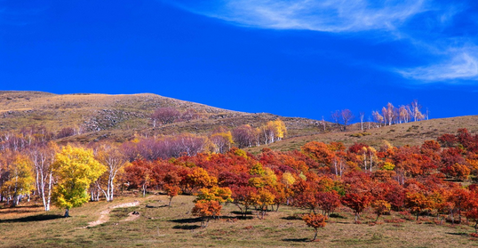 1597991981807663.png 20.png