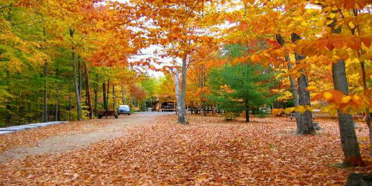 1597992012258018.png 21.png