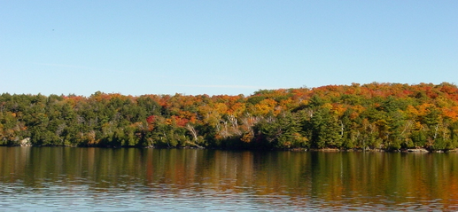 1597993640119025.png 81.png