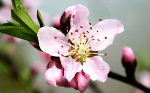 1598432229642679.png 14.png