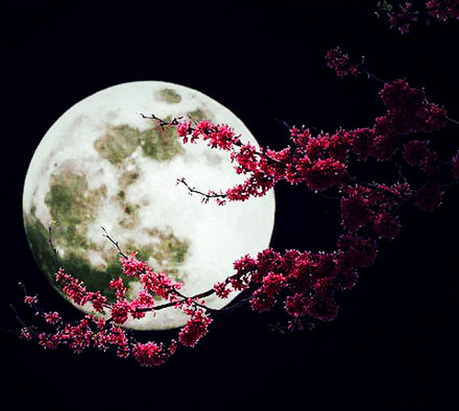 1598836134130403.jpg 16.jpg