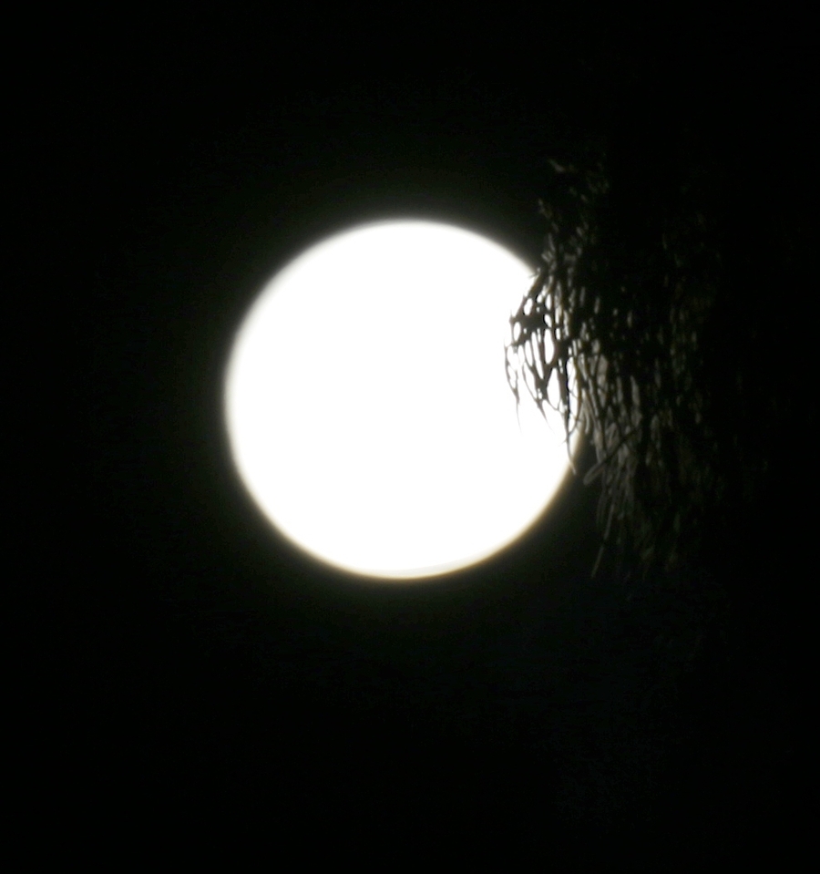 1598836237113294.jpg 18.jpg