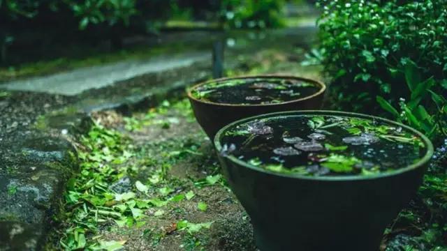 1599296568722417.jpg 31.jpg