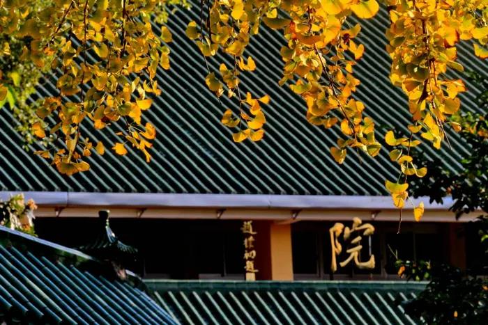 1599448439139543.jpg 33.jpg