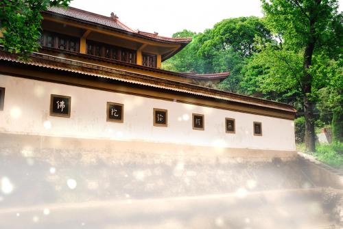 1599532295179872.jpg 41.jpg