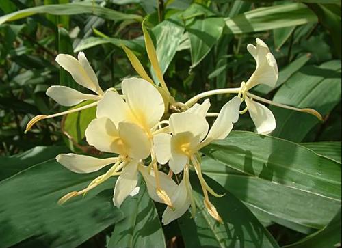 1599544539176860.jpg 74.jpg