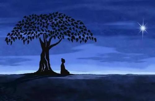 1599623426116319.jpg 7.jpg