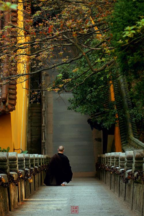 1599635182104851.jpg 3.jpg