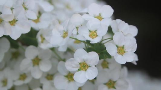 1599726799110703.jpg 微信图片_20200910154444.jpg