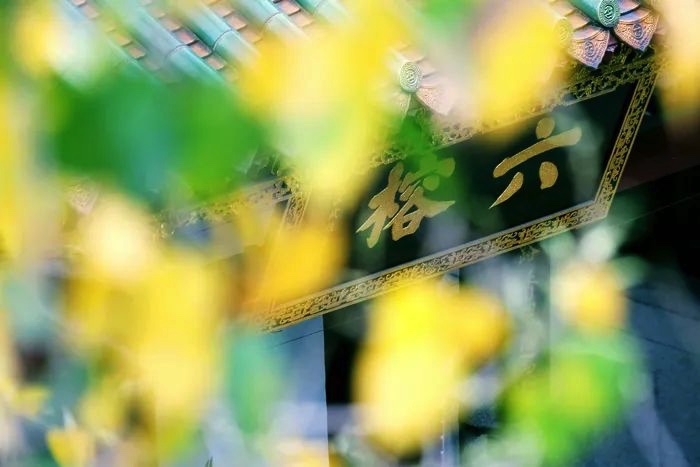 图像 2020-9-8，上午6.21.jpg