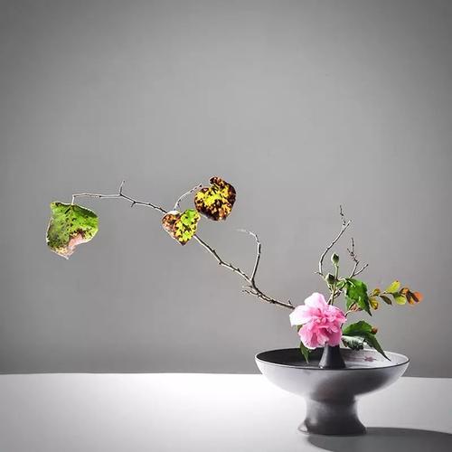 1600227786985427.jpg 微信图片_20200916105904.jpg