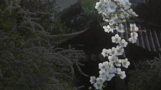 1600247807101253.jpg 微信图片_20200916134122.jpg