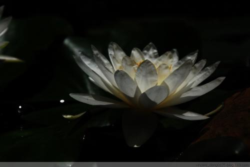 1600247900819196.jpg 微信图片_20200916134107.jpg