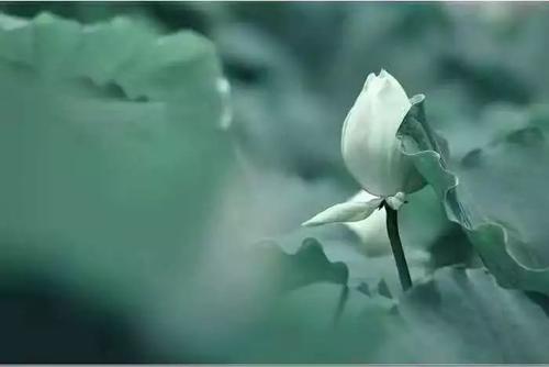 1600335093545255.jpg 微信图片_20200917090103.jpg