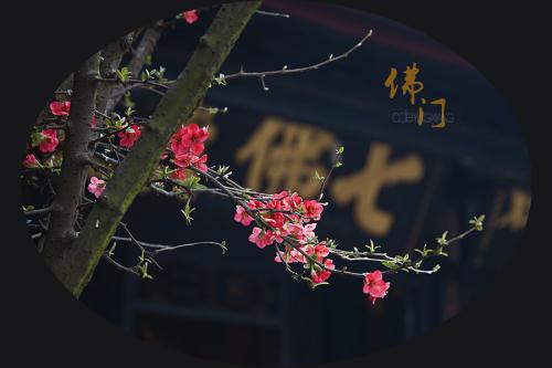 微信图片_20200917090048.jpg
