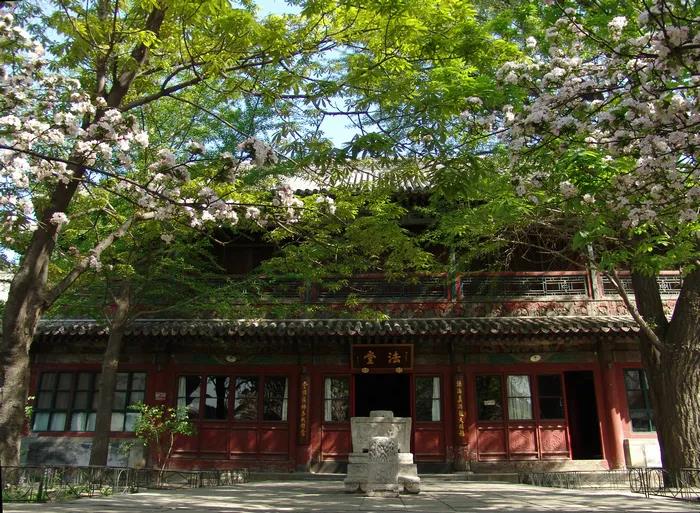 1600828209295628.jpg 微信图片_20200921134937.jpg