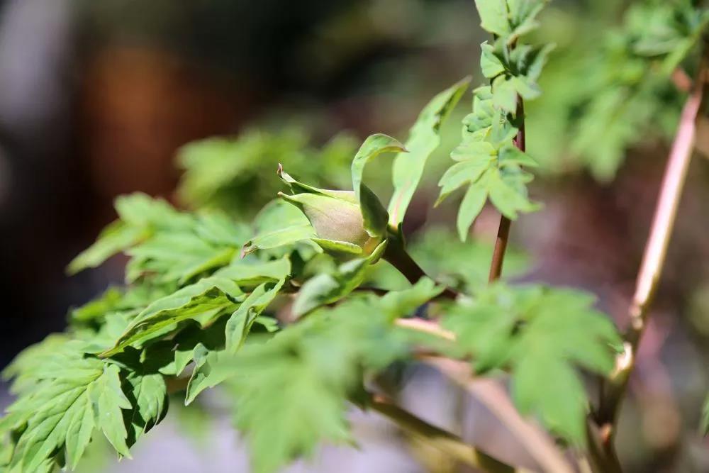 1600829647719147.jpg 微信图片_20200921135152.jpg