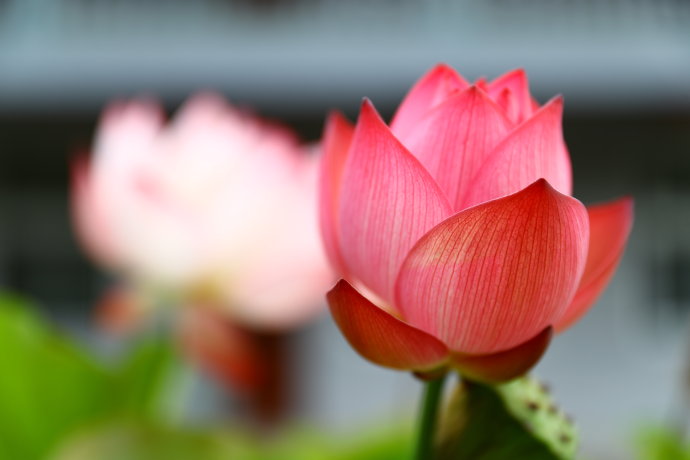 1601018067282288.jpg 微信图片_20200925150744.jpg