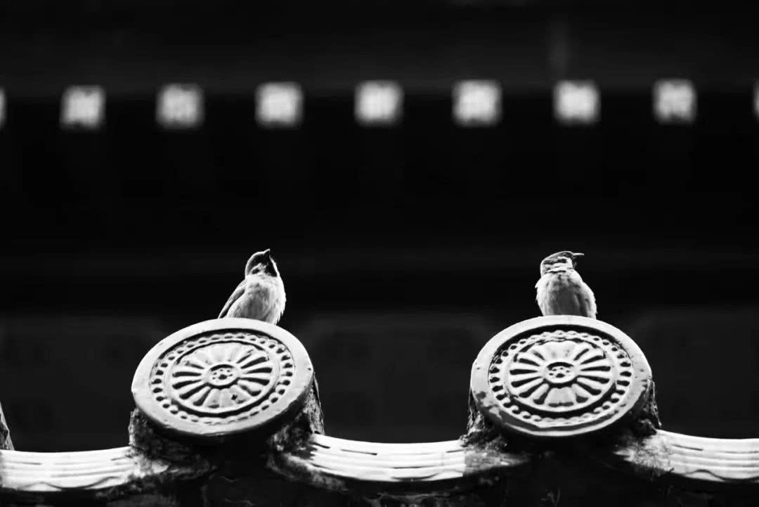 1601019253173848.jpg 微信图片_20200925152731.jpg