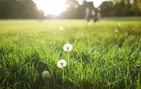 时间面前，终将释怀