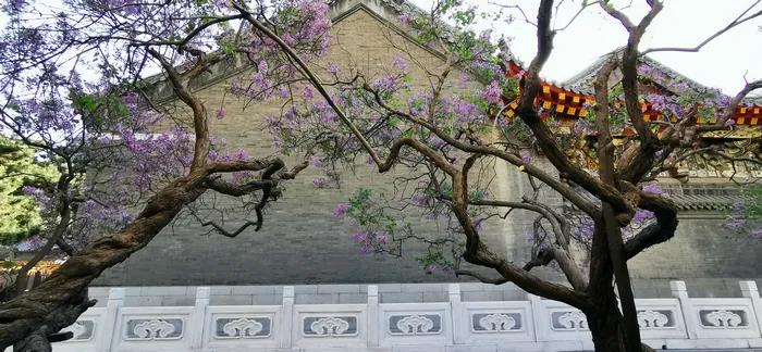 1602482894509539.jpg 微信图片_20200921110010.jpg