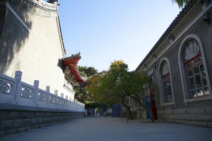 1602483052170276.jpg 微信图片_20200921105939.jpg