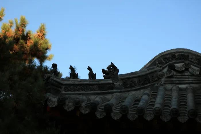 1602483120122154.jpg 微信图片_20200921105929.jpg