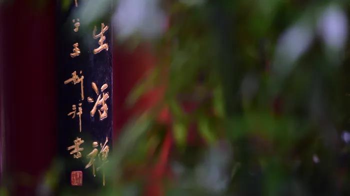 1602483689132447.jpg 微信图片_20200921110315.jpg