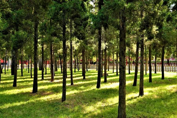 1602483753218042.jpg 微信图片_20200921110324.jpg