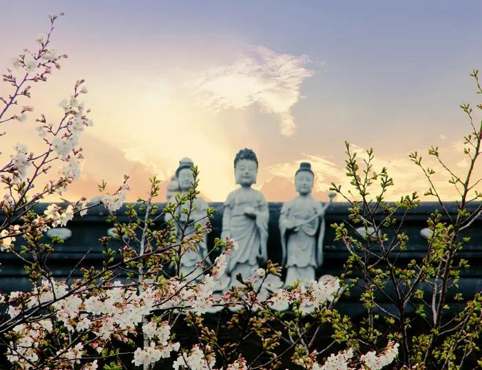 1602484360109033.jpg 微信图片_20200921111326.jpg