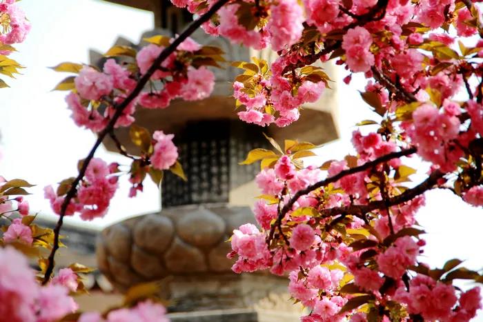 1602484478495338.jpg 微信图片_20200921111342.jpg