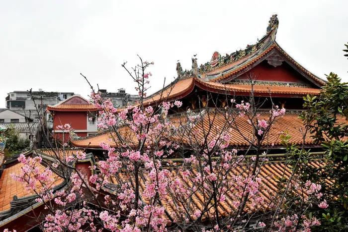 1602491311562640.jpg 微信图片_20200921134558.jpg