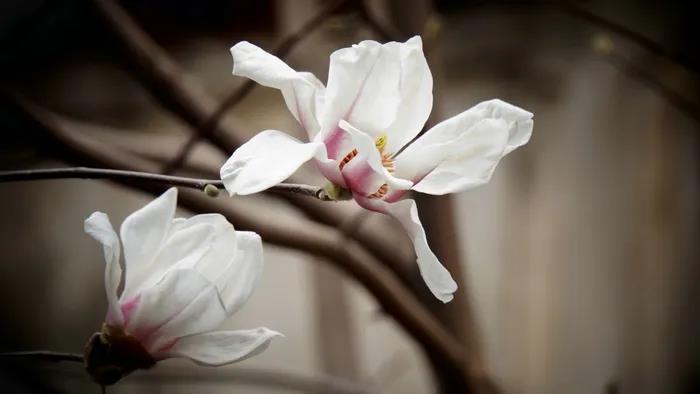 1602491344860377.jpg 微信图片_20200921134553.jpg