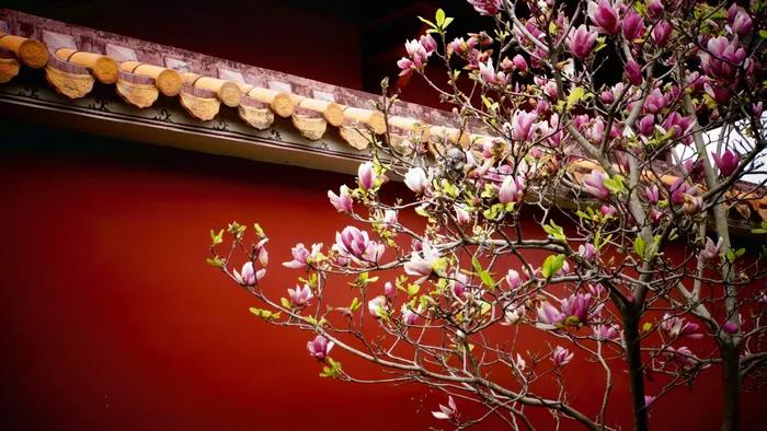 1602491359131444.jpg 微信图片_20200921134551.jpg