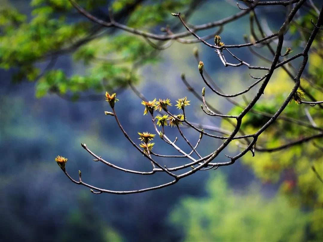 1602491766289130.jpg 微信图片_20200921135444.jpg