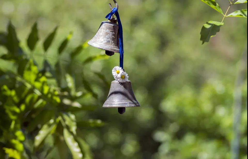 1602560895868510.jpg 微信图片_20201008155904.jpg