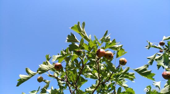 1602561011390814.jpg 微信图片_20201013114230.jpg