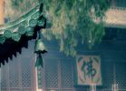 佛教僧侣平时生活应当是怎样的呢