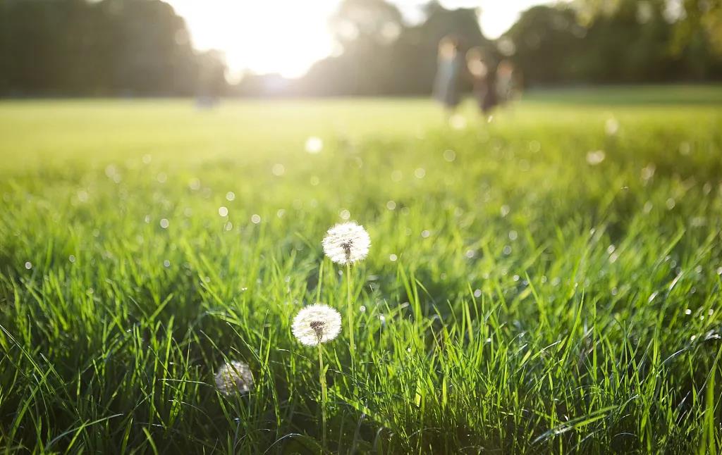 1602638436152074.jpg 微信图片_20201014091057.jpg