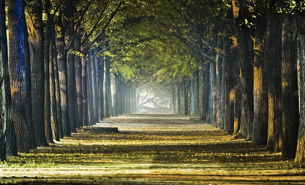 1602638461290507.jpg 微信图片_20201014091108.jpg