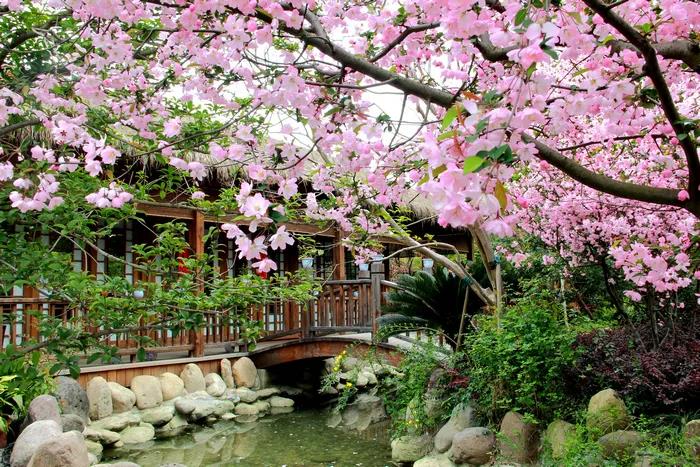 1603095440449079.jpg 微信图片_20200921111322.jpg