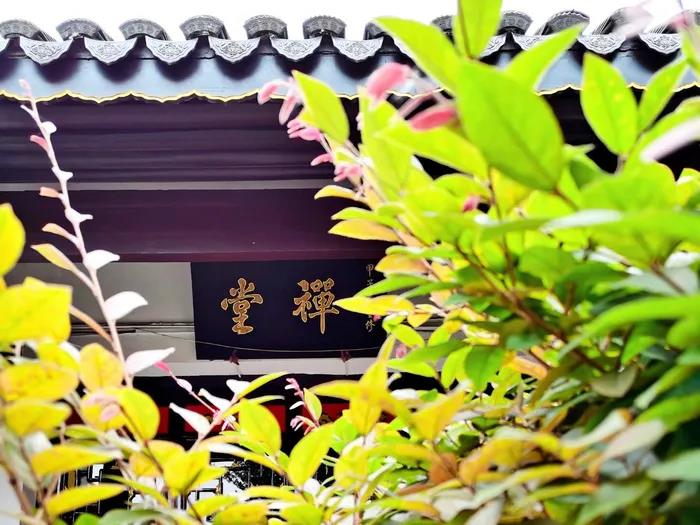 1603155660476017.jpg 微信图片_20200921104007.jpg