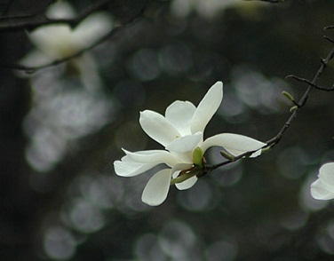 1603179415117227.jpg 微信图片_20201020152925.jpg