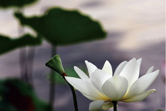 1603180675541641.jpg 微信图片_20201020155038.jpg