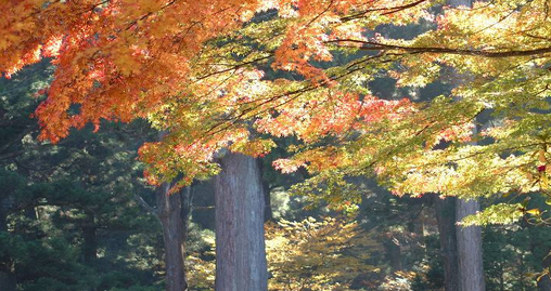 1603250871494435.png 8.png