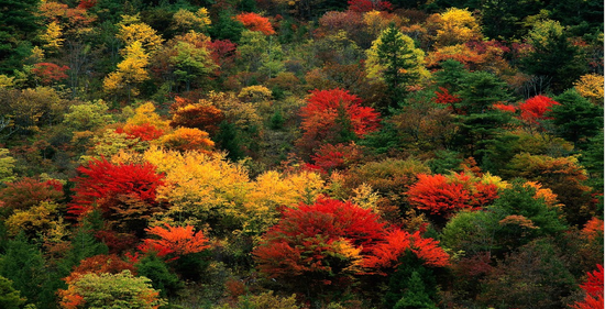 1603250910293648.png 14.png