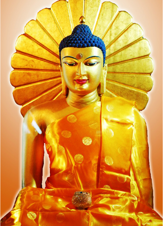 1603251427131332.png 19.png