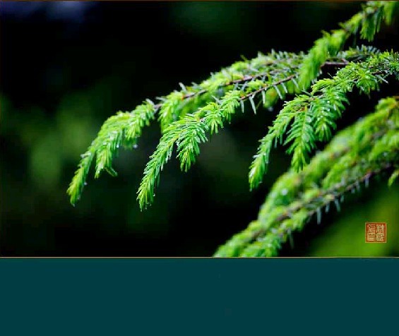 1603251454858010.jpg 70.jpg