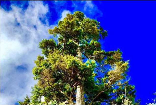 1603251881395419.png 64.png