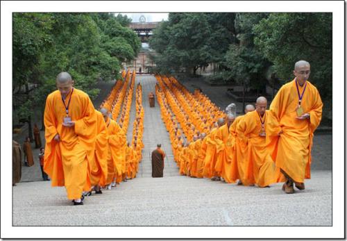 1603268225481783.jpg 54.jpg